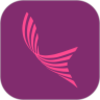 С�㱦appv1.2.9 ���°�