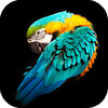 ���ö�̬��ֽappv1.0.9 ��׿��