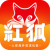 �������appv1.0.4 ��׿��