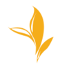 ��ɫ����appv2.6 ���°�