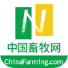 �й�������app