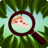 һ��ͼ���Ҷ�����Ϸ(Find-O)v0.0.4 ��׿��