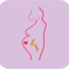 ��̥��appv1.0 ��׿��