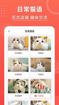�����˷�����appv2.9.5 ��׿��