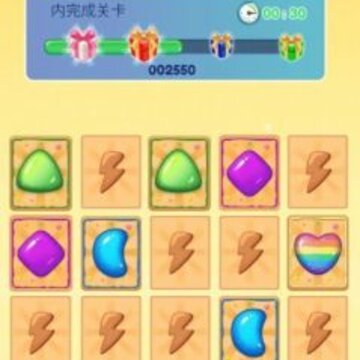 ���߹ھ�Brain Sage Champion