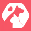 ά���ǳ��appv1.0.0 ���°�