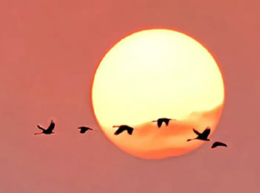 ����ǩ���ܺ����ļ�� �������ǩ��Ψ������