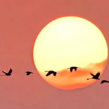 ����ǩ���ܺ����ļ�� �������ǩ��Ψ������