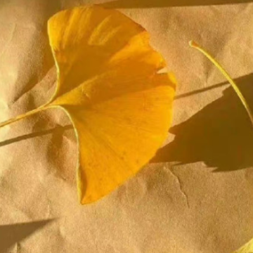 �ܹ����������Ϊ���˳�ɡ�ľ��� �Լ��ܹ�����������˳Ű�ɡ���İ�