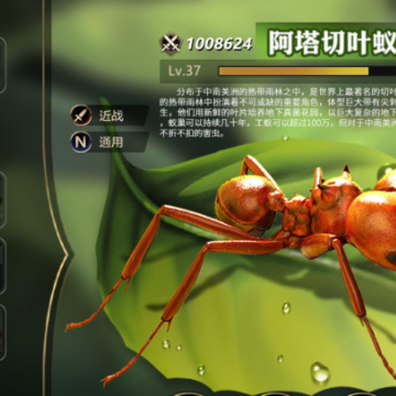 小小蚁国小米版 小小蚁国小米版