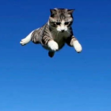 �峿�������ĺ�������İ� ������ů���簲��¼�ϼ�