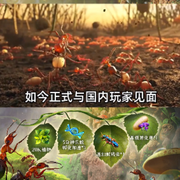 蚁族总动员 蚁族总动员