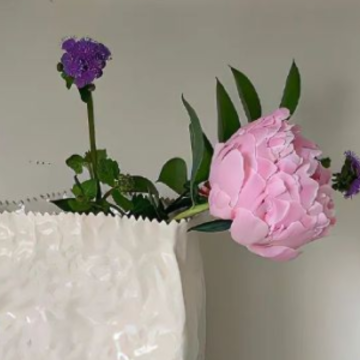 �Ƚ���Ƣ����ǩ�����ڲ�ͬ �����ֺܹŹֵ�ǩ��