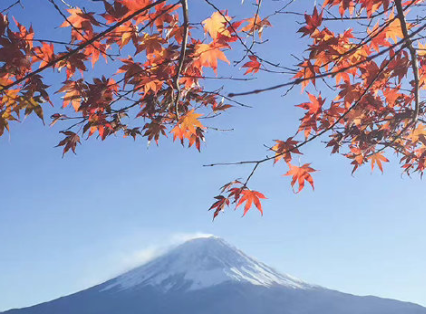 ��������������İ� ������Ƭ����ϵ˵˵