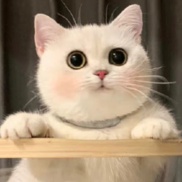 �¶�������ǩ����� �����¶�����ǩ��