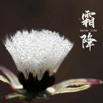 2022霜降节气发朋友圈的早安说说 霜降节气的暖心语录 2022霜降节气发朋友圈的早安说说 霜降节气的暖心语录