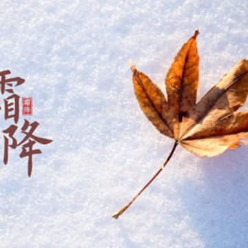 2022霜降节气发朋友圈的早安说说 霜降节气的暖心语录 2022霜降节气发朋友圈的早安说说 霜降节气的暖心语录
