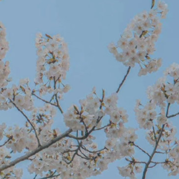感叹自己一无所有的句子 生活跌倒了低谷的句子 感叹自己一无所有的句子 生活跌倒了低谷的句子