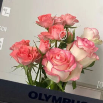 �°�ؼҾ����Ⱥ��ķ��˵�˵˵ �°�ؼҾ��з��Ե��Ҹ��̾�