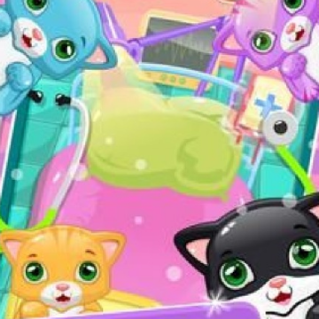 Сèҽ��������ҽ(Little Cat Doctor Pet Vet Game)