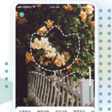 һ������ʶ��app