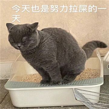 0070NSSfgy1h7ax5aezvmj30u00ym76m.jpg