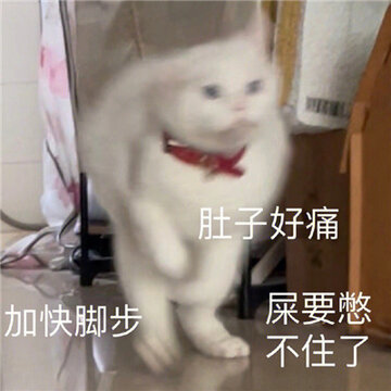 0070NSSfgy1h7ax5euk87j30o00o0wk5.jpg