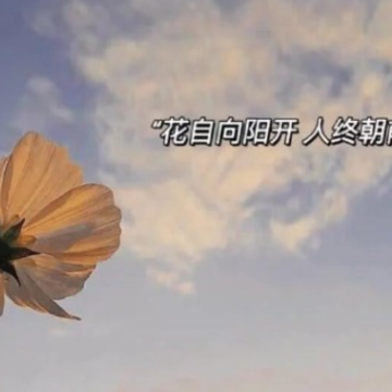 ʮһ������簲��־��¼ 2022ʮһ����������������ľ���