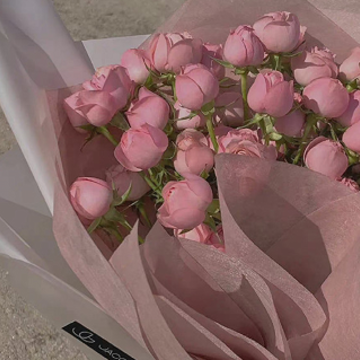 Ů�˲�Ҫ��̫����˵˵ �Ժ���������Ķ̾�