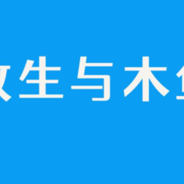 ������ľ��app