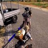 �Լ�ģ��Ծ�v1.01 ��׿��