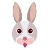 ���ô�appv1.0.3 ���°�