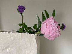 �Ƚ���Ƣ����ǩ�����ڲ�ͬ �����ֺܹŹֵ�ǩ��