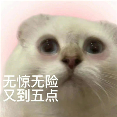 ����һ���Ц�ı���� �о������ֵ����