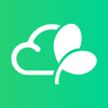 ������APP