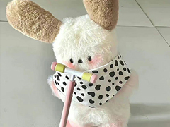 �ӵ�����΢������Ԣ��� �ӵ����ֲ��׵�����