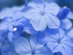 ����ϲ���ĸ���ǩ����̾�տ �����˽ӵ�����ǩ��