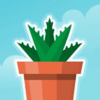 ��������ֲ��԰Terrariumv1.15 ��׿��