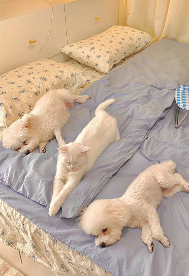 ��Լ�����ı�ֽ����ܻ� ���㲻��ȱ�ÿ��ı�ֽŶ