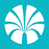 ���е�app