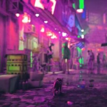 ��ʧStray���ΰ�