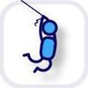 ҡ���˳�����Ծ��Swingman-������Ծ)v1.0���°�