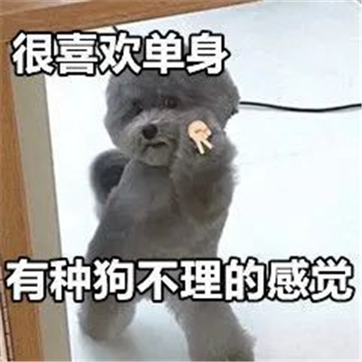 ͦʵ�õı���ɿɰ��� ϲ���������ֹ������ĸо�