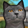 è��ģ����3DCat Shelter Simulator 3Dv6.2 ��׿��