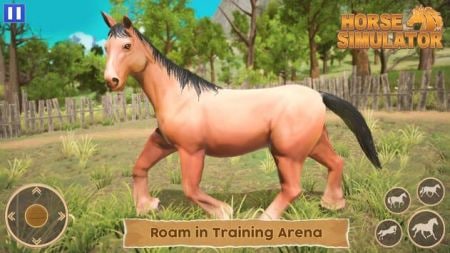 骑马世界模拟器Horse Simulator