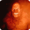 �ֲ�����v1.0 ���İ�