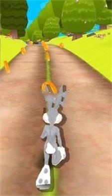 ���Ӵ��ֿ�ͨ��Bunny Runv11 ���İ�