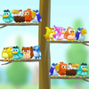 �����ɫ��ʦBird Sort - Color Puzzlev1.8 ��׿��