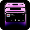 �鶯��appv2.0.3 ���°�