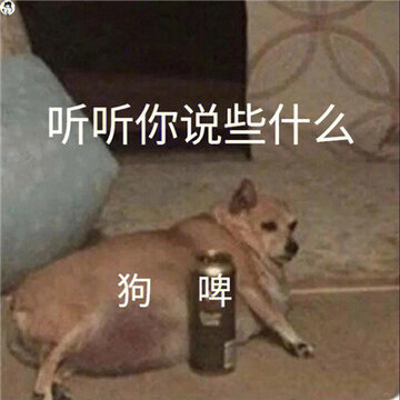 005MZweCgy1h7mgyd2da6j30j80j5tal.jpg